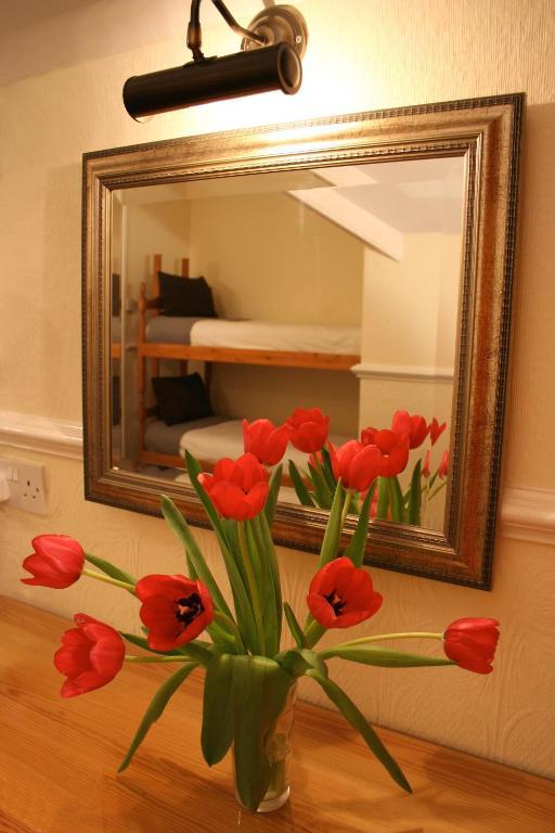 The Telstar Bed & Breakfast Exeter Ngoại thất bức ảnh